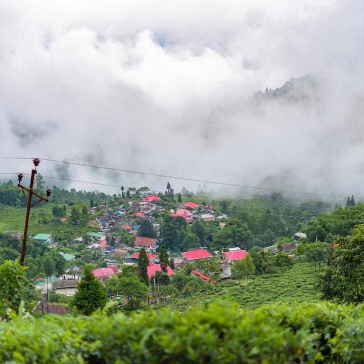 Outdoor terrace seating suitable for families in Dusseldorf